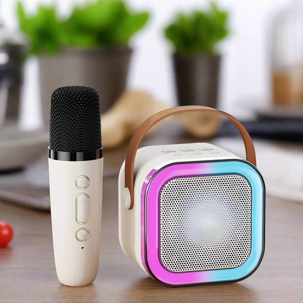 Mini Portable Microphone